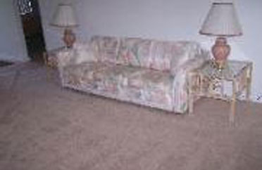 Mold Removal Fort Myers